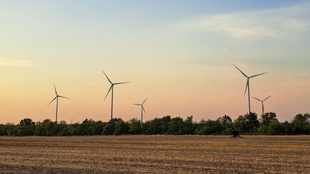 Windräder am Feld