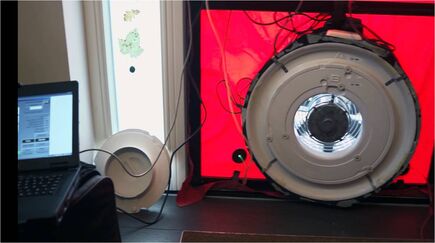 Video abspielen