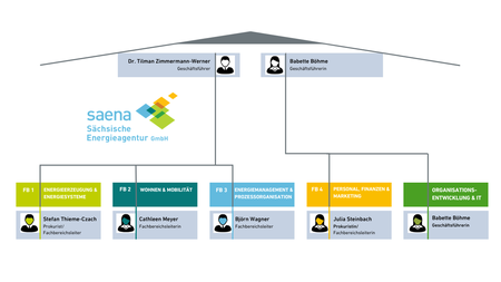 Organigramm der SAENA (Stand Juni 2026)