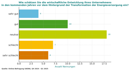 Umfrage wirtschaftliche Entwicklung ihres Unternehmens in Hinblick auf Transformation der Energieversorgung